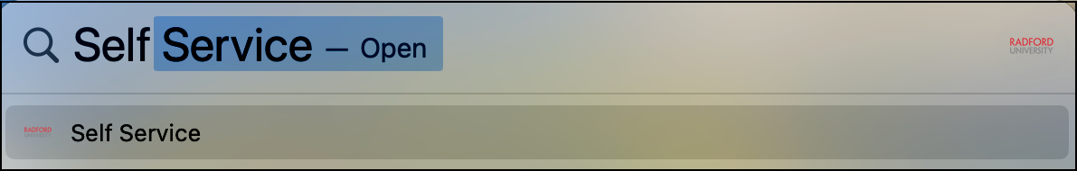 A person standing on a beachDescription automatically generated with medium confidence